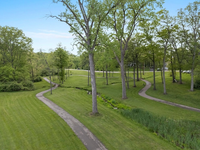 1244 E Choctaw Dr, London, OH 43140 - view of property's community with a yard