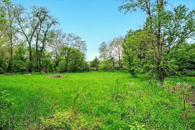 23080 Stull Rd, Howard, OH 43028 - photo 25