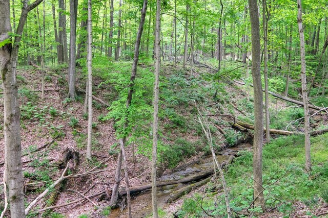23080 Stull Rd, Howard, OH 43028 - photo 27