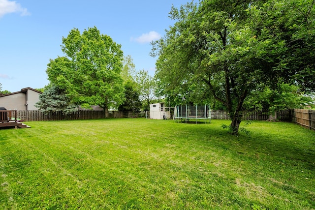 214 Sylvan Dr, Delaware, OH 43015 - view of yard featuring a trampoline