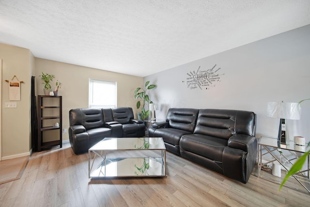 5309 Trillium Ct, Columbus, OH 43230 - living room featuring light wood-type flooring and a textured ceiling