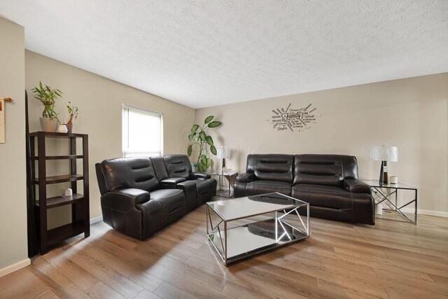 5309 Trillium Ct, Columbus, OH 43230 - living room with wood finished floors, a textured ceiling, and baseboards