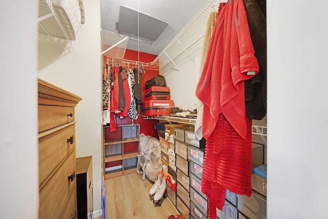 5309 Trillium Ct, Columbus, OH 43230 - spacious closet with wood finished floors and attic access
