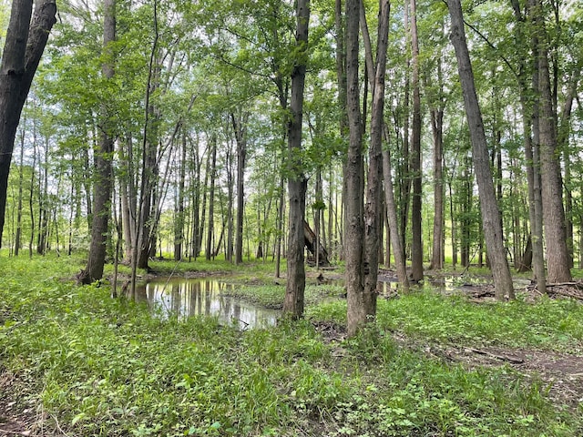 74 W State St, Milford Center, OH 43045 - photo 5