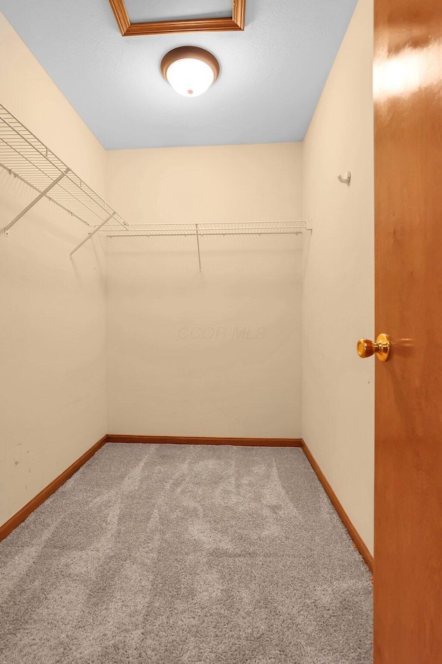255 Oakview Ct, Pickerington, OH 43147 - spacious closet featuring carpet floors