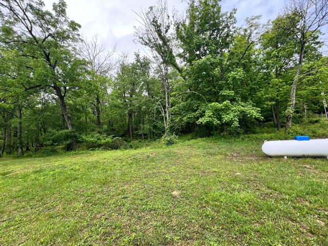 6633 State Route 138, Frankfort, OH 45628 - photo 18