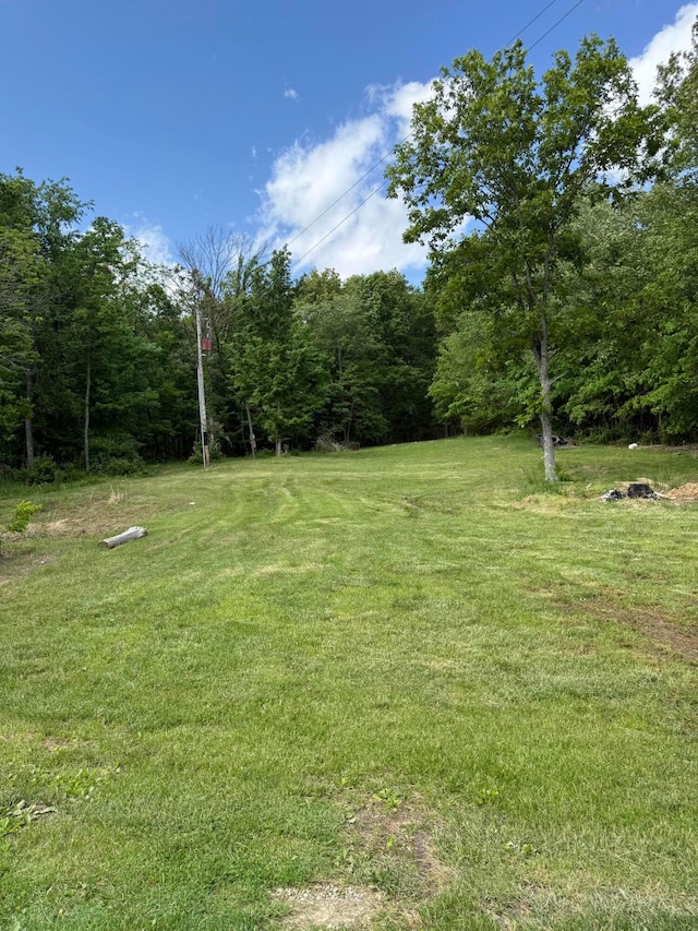 6633 State Route 138, Frankfort, OH 45628 - photo 19