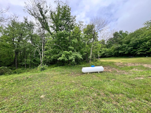6633 State Route 138, Frankfort, OH 45628 - photo 20