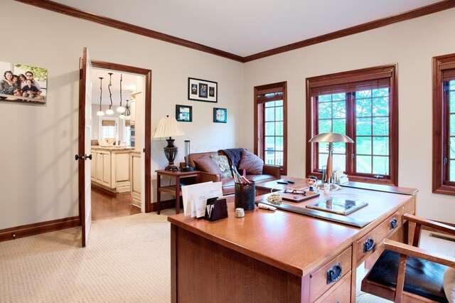 307 Bryn Du Dr, Granville, OH 43023 - photo 41