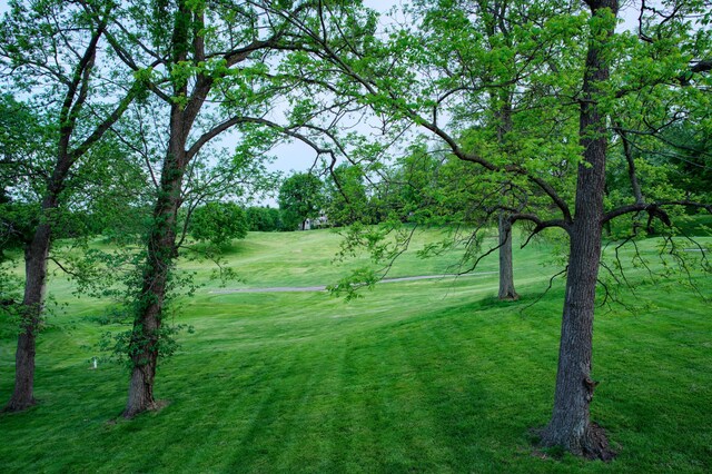 307 Bryn Du Dr, Granville, OH 43023 - photo 72