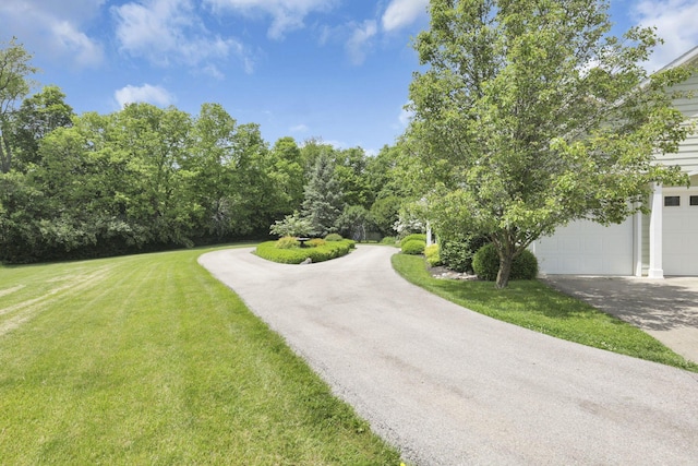 1200 Willow Rd, Springfield, OH 45502 - view of road
