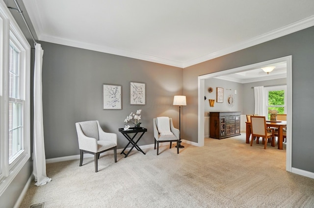 5741 Ridgewood Ave, Westerville, OH 43082 - living area featuring carpet floors, crown molding, and baseboards