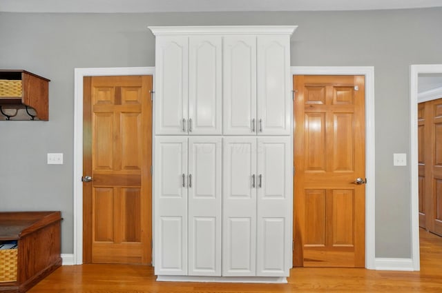 5741 Ridgewood Ave, Westerville, OH 43082 - bedroom with light wood-type flooring, a closet, and baseboards