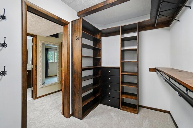127 Saint Michelle St Unit 35B, Columbus, OH 43085 - walk in closet with light carpet