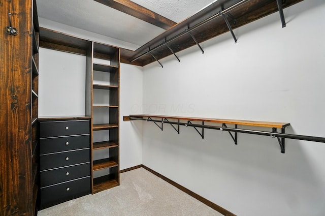 127 Saint Michelle St Unit 35B, Columbus, OH 43085 - walk in closet featuring carpet floors