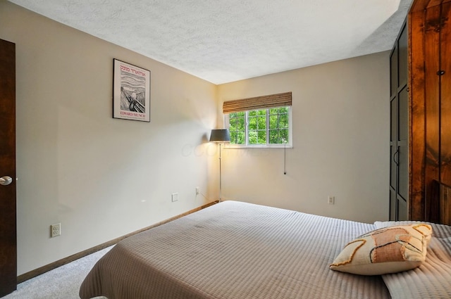 127 Saint Michelle St Unit 35B, Columbus, OH 43085 - bedroom with carpet flooring, baseboards, and a textured ceiling