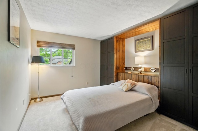 127 Saint Michelle St Unit 35B, Columbus, OH 43085 - bedroom with light colored carpet, baseboards, and a textured ceiling