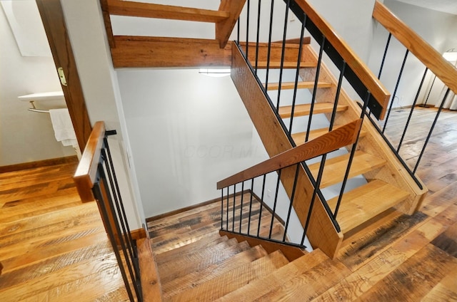 127 Saint Michelle St Unit 35B, Columbus, OH 43085 - staircase with baseboards and wood-type flooring
