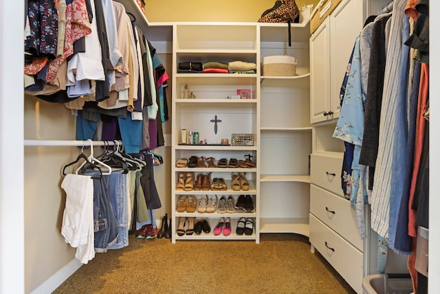 2036 Amber Wood Pl, Lancaster, OH 43130 - spacious closet with carpet floors