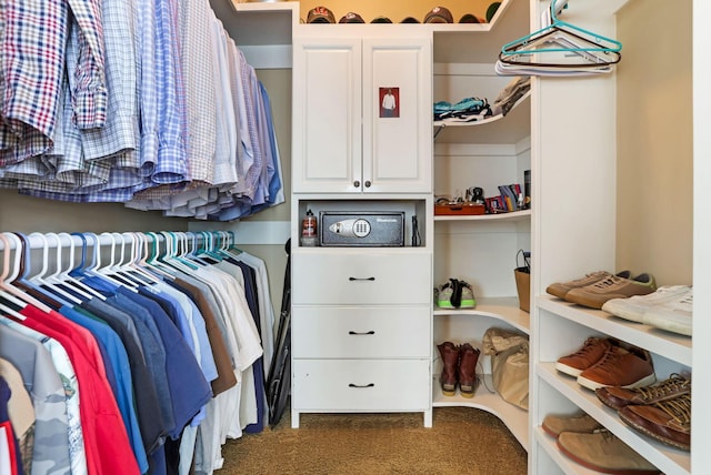 2036 Amber Wood Pl, Lancaster, OH 43130 - walk in closet with carpet floors