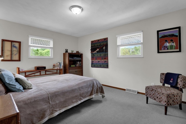 699 Cedar Run Rd NE, Newark, OH 43055 - carpeted bedroom with multiple windows and baseboards