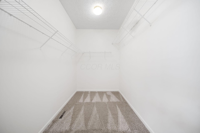 272 Trail E, Etna, OH 43062 - walk in closet with carpet flooring