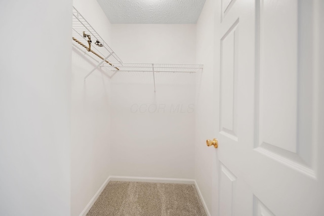 272 Trail E, Etna, OH 43062 - spacious closet featuring carpet flooring