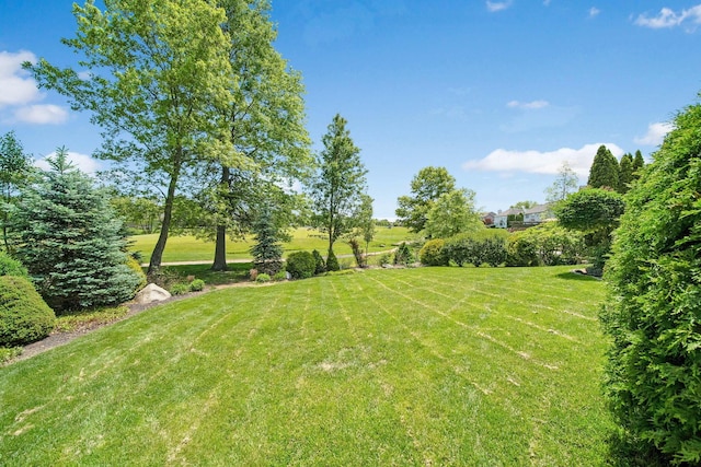 272 Trail E, Etna, OH 43062 - view of green lawn