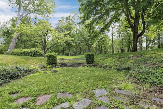 498 Manor, Newark, OH 43055 - view of yard