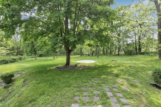 498 Manor, Newark, OH 43055 - view of green lawn