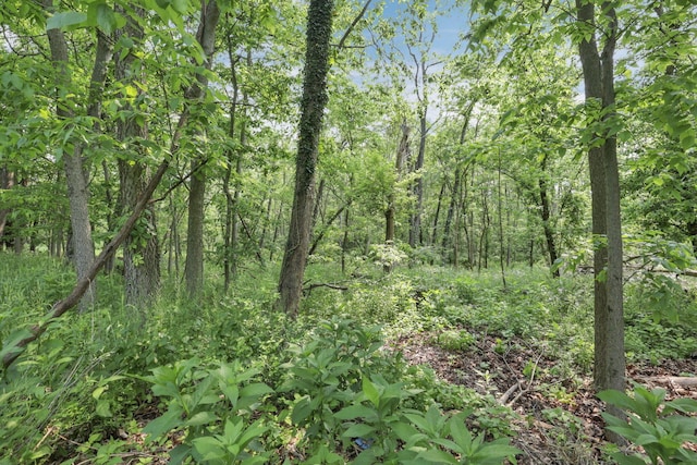 498 Manor, Newark, OH 43055 - view of woods