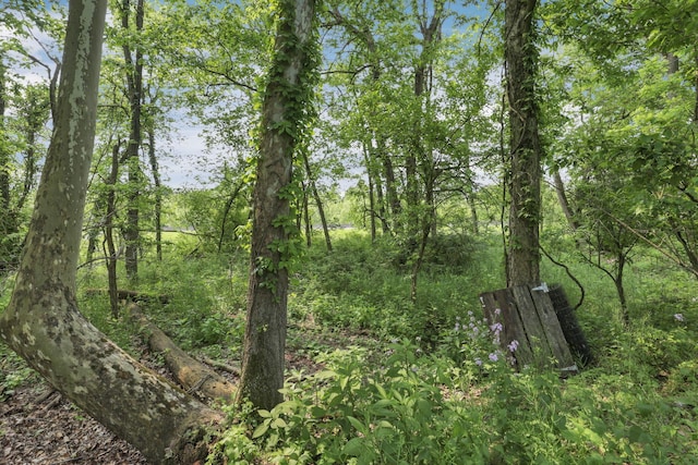 498 Manor, Newark, OH 43055 - view of wooded area
