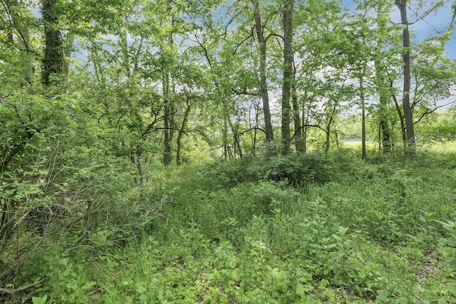 498 Manor, Newark, OH 43055 - view of wooded area