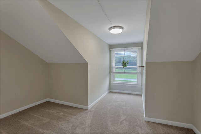 8270 Windy Hollow Rd, Johnstown, OH 43031 - bonus room featuring carpet, baseboards, and vaulted ceiling