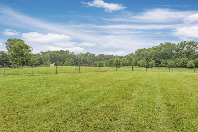 8270 Windy Hollow Rd, Johnstown, OH 43031 - view of yard with a view of rural / pastoral area and a wooded view