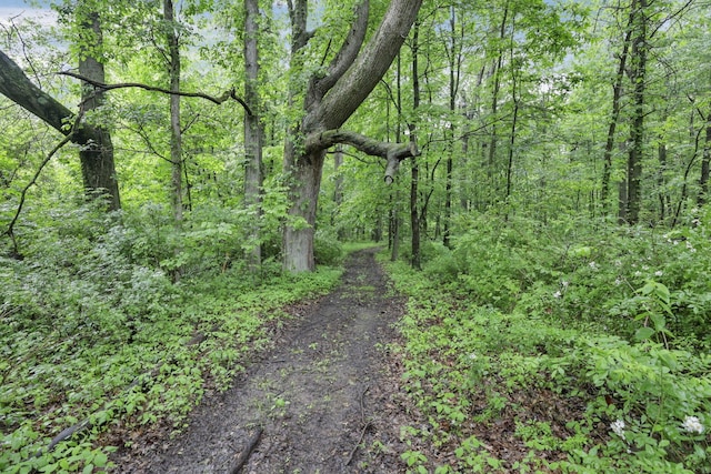8270 Windy Hollow Rd, Johnstown, OH 43031 - view of wooded area