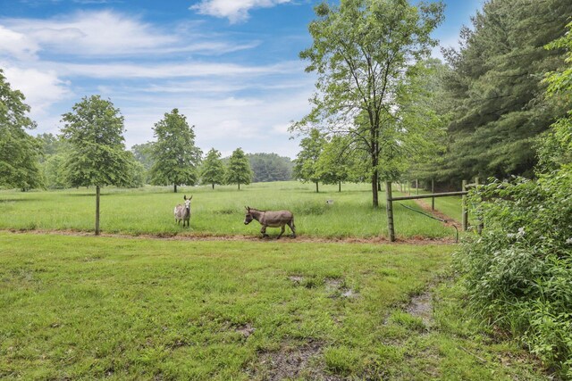 8270 Windy Hollow Rd, Johnstown, OH 43031 - view of grassy yard with a view of rural / pastoral area