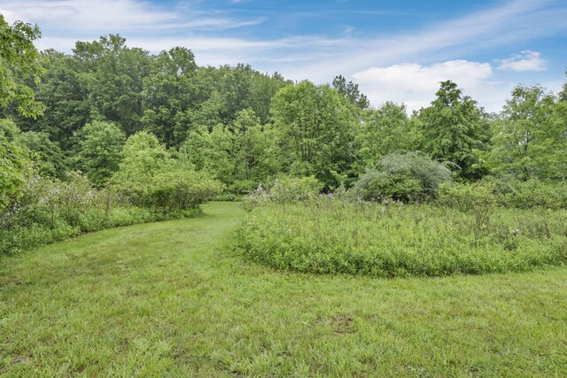 8270 Windy Hollow Rd, Johnstown, OH 43031 - view of yard featuring a view of trees