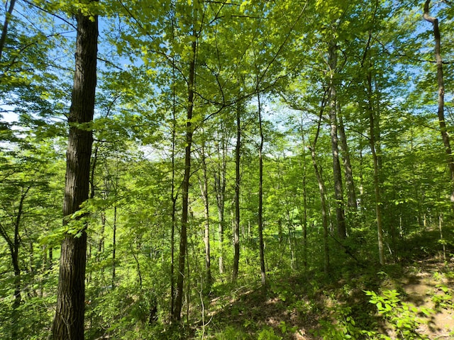 140 Sycamore St, Glouster, OH 45732 - view of tree filled area