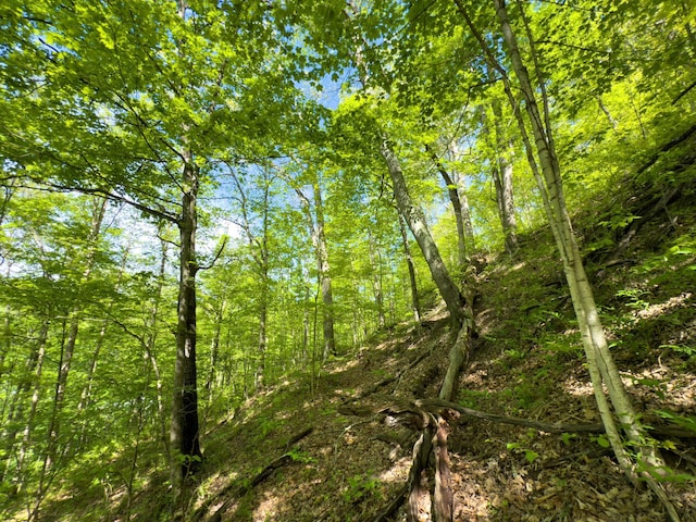 140 Sycamore St, Glouster, OH 45732 - view of undeveloped land
