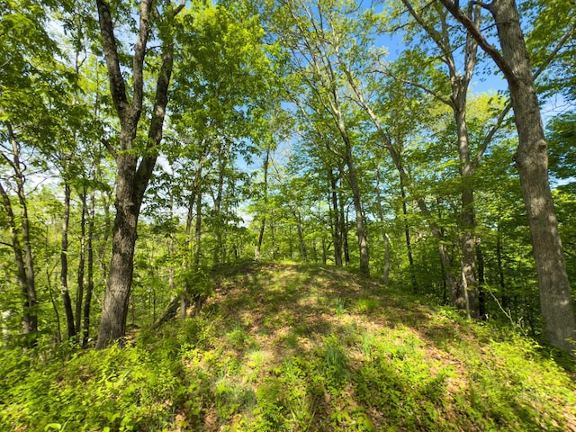 140 Sycamore St, Glouster, OH 45732 - view of tree filled area