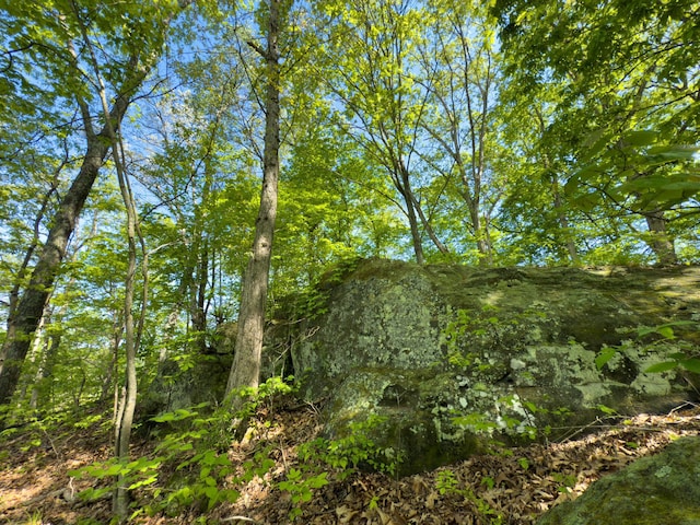 140 Sycamore St, Glouster, OH 45732 - view of nature