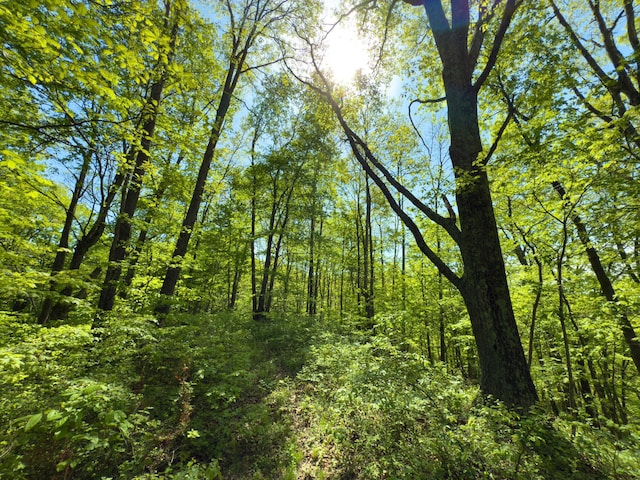 140 Sycamore St, Glouster, OH 45732 - view of woods