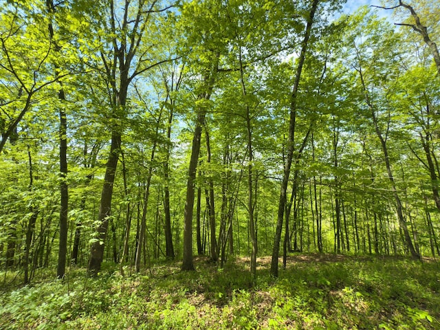 140 Sycamore St, Glouster, OH 45732 - view of wooded area