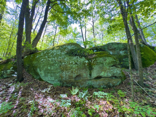 140 Sycamore St, Glouster, OH 45732 - view of undeveloped land