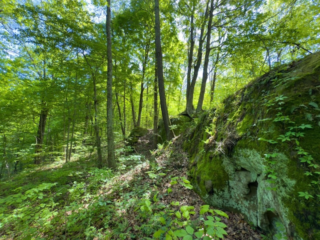 140 Sycamore St, Glouster, OH 45732 - view of woods