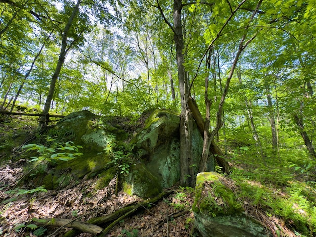 140 Sycamore St, Glouster, OH 45732 - view of nature