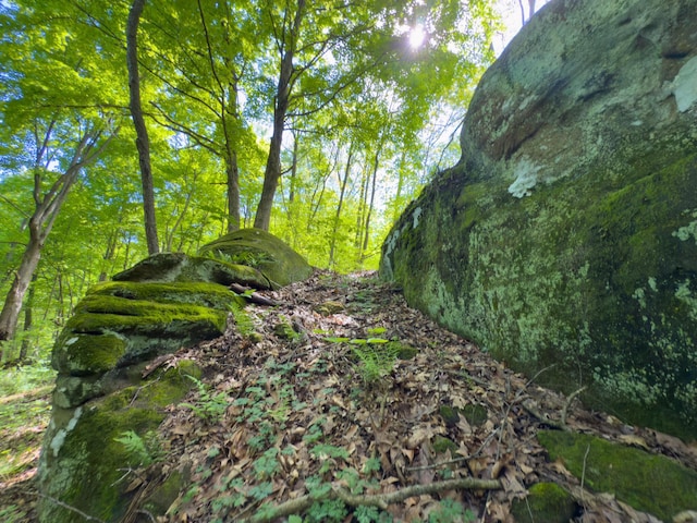 140 Sycamore St, Glouster, OH 45732 - view of nature