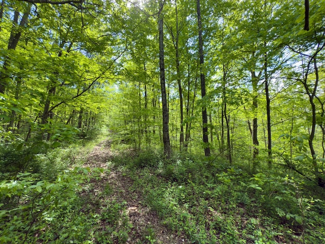 140 Sycamore St, Glouster, OH 45732 - view of woods