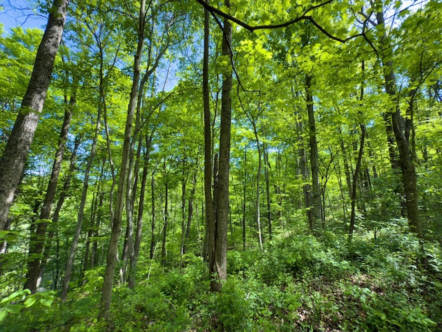140 Sycamore St, Glouster, OH 45732 - view of tree filled area